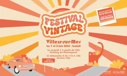 Festival Vintage