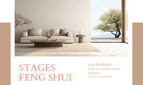 Harmonisez votre espace intérieur grâce au FENG SHUI