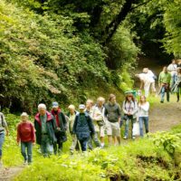 30ème Fête de la coquille : Participez aux randonnées gourmandes
