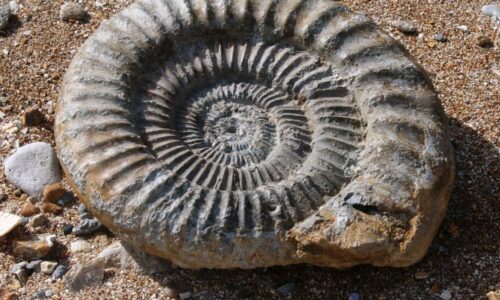 170 ANS DE VILLERS (1856/2026)